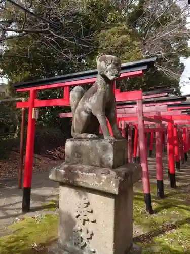 美濃輪稲荷神社の狛犬