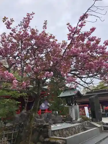 宮城縣護國神社の自然