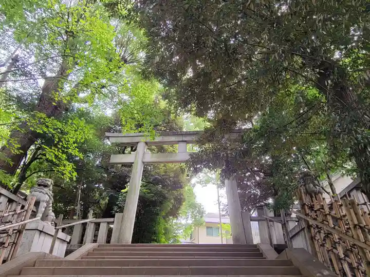 渋谷氷川神社の鳥居