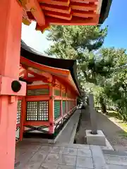 住吉大社(大阪府)