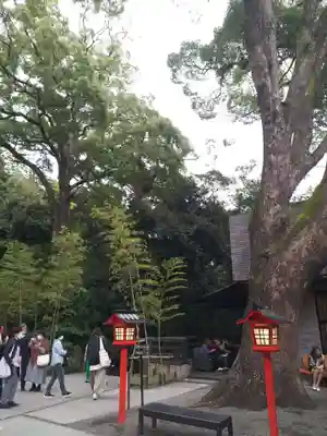 來宮神社(静岡県)