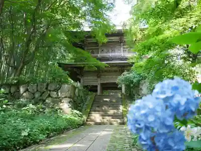 泰寧寺の山門・神門