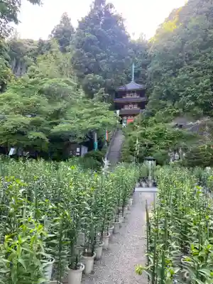 松尾寺(奈良県)