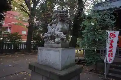 神明氷川神社の狛犬