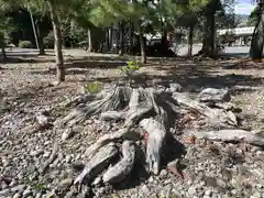 美濃國一宮　南宮大社(岐阜県)