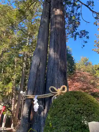 北口本宮冨士浅間神社(山梨県)