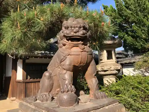 観音寺（世田谷山観音寺）の狛犬