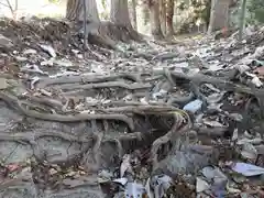 愛宕神社の自然