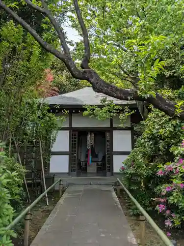 高円寺(東京都)