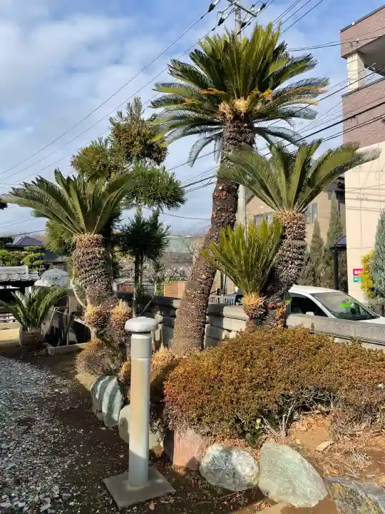 眞隆寺の{uncategorized: "未分類", other: "その他", undefined: "問題あり", building: "その他建物", grave: "お墓", sacred_gate: "鳥居", guardian: "狛犬", statue: "像", buddha: "仏像", history: "歴史", nature: "自然", garden: "庭園", animal: "動物", pagoda: "塔", temizu: "手水舎", mountain_gate: "山門・神門", sanctuary: "本殿・本堂", subordinate: "末社・摂社", art: "芸術", scenery: "景色", jizo: "地蔵", ema: "絵馬", goshuin: "御朱印", omikuji: "おみくじ", items: "授与品その他", amulet: "お守り", goshuincho: "御朱印帳", eats: "食事", festival: "お祭り", votive_dance: "神楽", shichigosan: "七五三参", wedding: "結婚式", experience: "体験その他", initially: "初詣", around: "周辺", anti_infection: "感染症対策"}