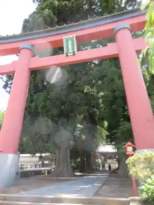 河口浅間神社の鳥居