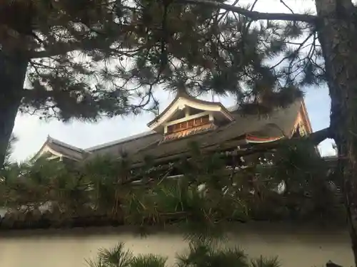 妙心寺（妙心禅寺）の本殿・本堂