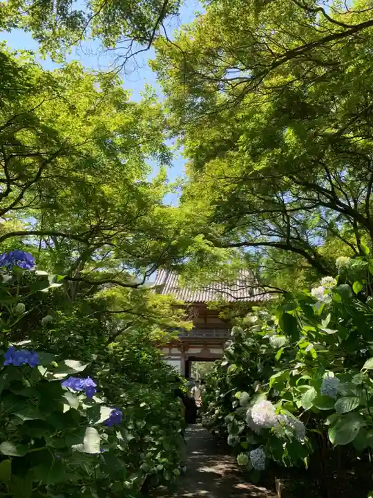 久安寺(大阪府)