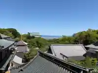 成福院の{uncategorized: "未分類", other: "その他", undefined: "問題あり", building: "その他建物", grave: "お墓", sacred_gate: "鳥居", guardian: "狛犬", statue: "像", buddha: "仏像", history: "歴史", nature: "自然", garden: "庭園", animal: "動物", pagoda: "塔", temizu: "手水舎", mountain_gate: "山門・神門", sanctuary: "本殿・本堂", subordinate: "末社・摂社", art: "芸術", scenery: "景色", jizo: "地蔵", ema: "絵馬", goshuin: "御朱印", omikuji: "おみくじ", items: "授与品その他", amulet: "お守り", goshuincho: "御朱印帳", eats: "食事", festival: "お祭り", votive_dance: "神楽", shichigosan: "七五三参", wedding: "結婚式", experience: "体験その他", initially: "初詣", around: "周辺", anti_infection: "感染症対策"}