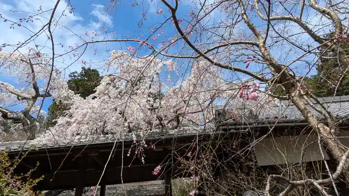 十輪寺(京都府)