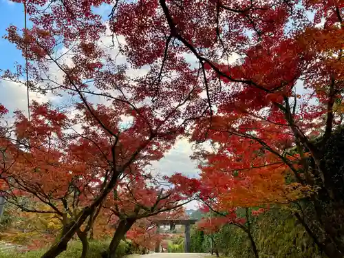 仁比山神社(佐賀県)