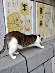 蔵前神社の動物