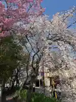 平野神社の{uncategorized: "未分類", other: "その他", undefined: "問題あり", building: "その他建物", grave: "お墓", sacred_gate: "鳥居", guardian: "狛犬", statue: "像", buddha: "仏像", history: "歴史", nature: "自然", garden: "庭園", animal: "動物", pagoda: "塔", temizu: "手水舎", mountain_gate: "山門・神門", sanctuary: "本殿・本堂", subordinate: "末社・摂社", art: "芸術", scenery: "景色", jizo: "地蔵", ema: "絵馬", goshuin: "御朱印", omikuji: "おみくじ", items: "授与品その他", amulet: "お守り", goshuincho: "御朱印帳", eats: "食事", festival: "お祭り", votive_dance: "神楽", shichigosan: "七五三参", wedding: "結婚式", experience: "体験その他", initially: "初詣", around: "周辺", anti_infection: "感染症対策"}