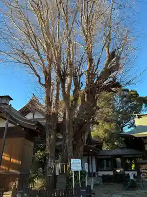 登渡神社(千葉県)