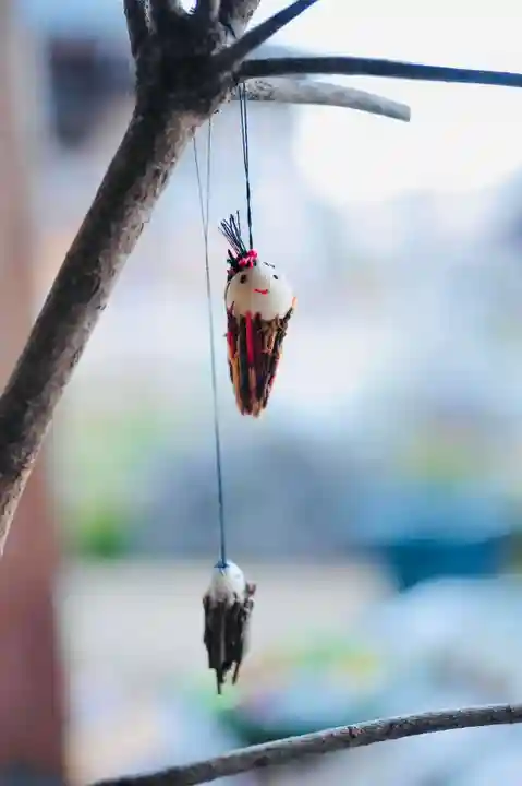 浄土寺(兵庫県)