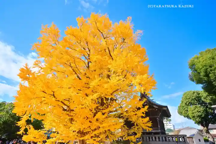 葛飾八幡宮(千葉県)