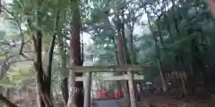 出雲大神宮の鳥居