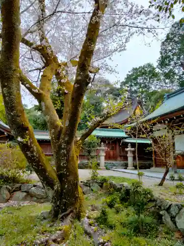 伊太祁曽神社の庭園