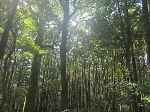 談山神社(奈良県)