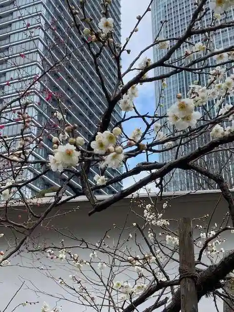 愛宕神社(東京都)