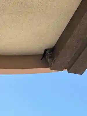 防府天満宮(山口県)