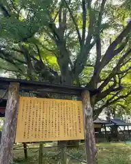 西念寺(茨城県)