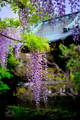 西新井大師総持寺(東京都)