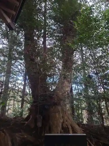 黒沼神社(福島県)