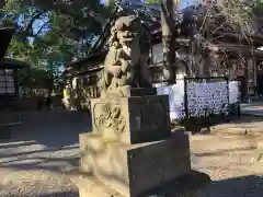 世田谷八幡宮の狛犬