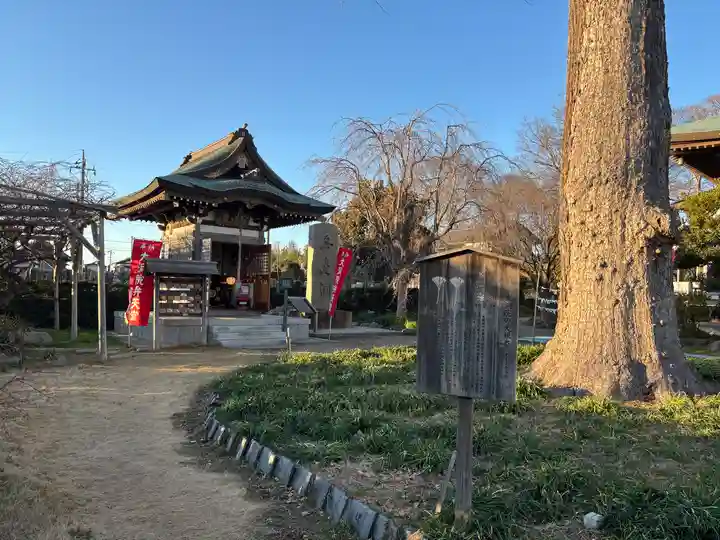 大洞院(千葉県)