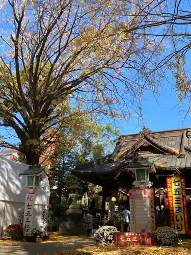 田無神社の本殿・本堂