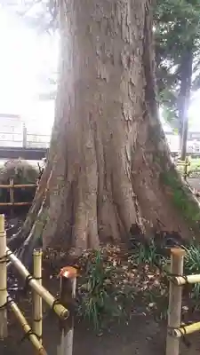 三嶋神社のその他建物