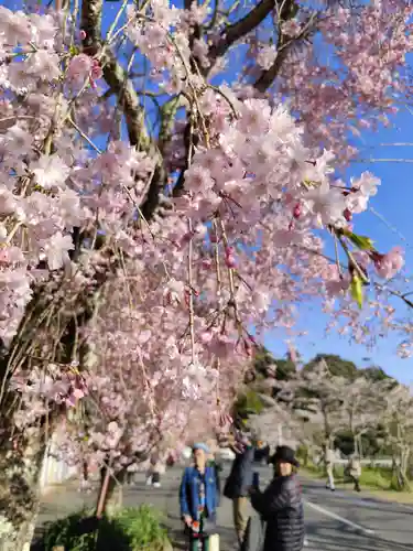 大崎寺(滋賀県)