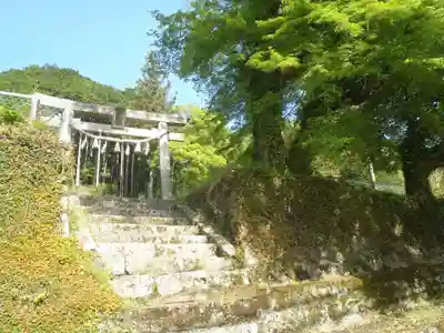 八幡社(愛知県)