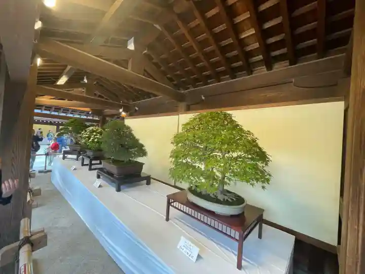 明治神宮(東京都)