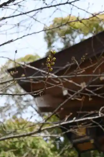 夜疑神社(大阪府)