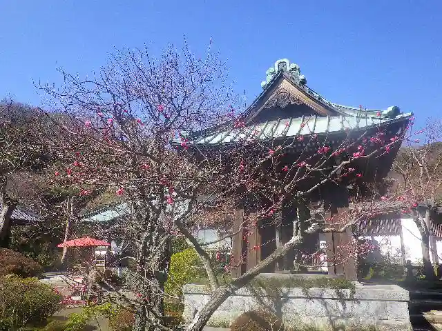 海蔵寺のその他建物