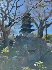 常楽寺の建物その他