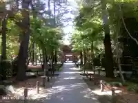 平林寺の{uncategorized: "未分類", other: "その他", undefined: "問題あり", building: "その他建物", grave: "お墓", sacred_gate: "鳥居", guardian: "狛犬", statue: "像", buddha: "仏像", history: "歴史", nature: "自然", garden: "庭園", animal: "動物", pagoda: "塔", temizu: "手水舎", mountain_gate: "山門・神門", sanctuary: "本殿・本堂", subordinate: "末社・摂社", art: "芸術", scenery: "景色", jizo: "地蔵", ema: "絵馬", goshuin: "御朱印", omikuji: "おみくじ", items: "授与品その他", amulet: "お守り", goshuincho: "御朱印帳", eats: "食事", festival: "お祭り", votive_dance: "神楽", shichigosan: "七五三参", wedding: "結婚式", experience: "体験その他", initially: "初詣", around: "周辺", anti_infection: "感染症対策"}