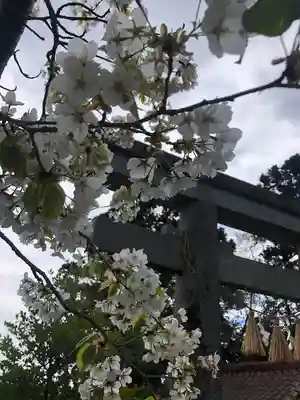 古谷館八幡神社(宮城県)