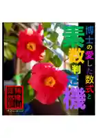 耕田院(山形県)