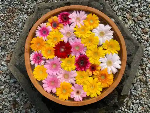 滑川神社 - 仕事と子どもの守り神の手水舎