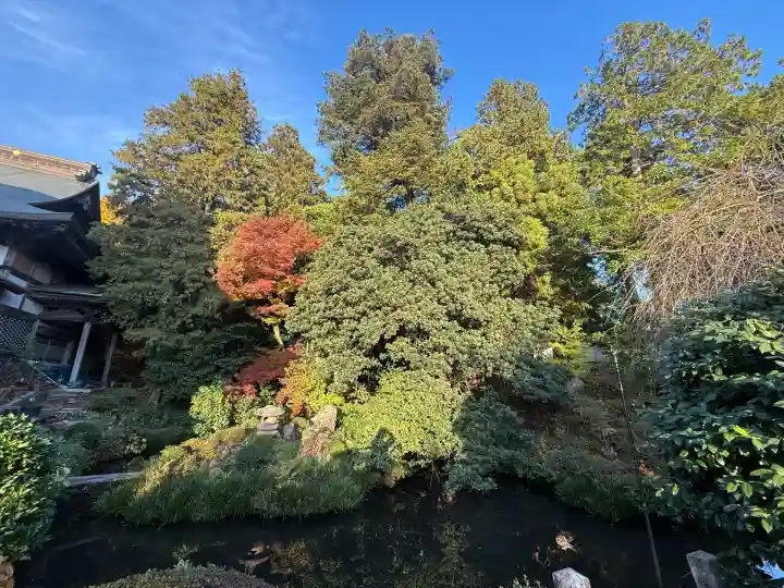 松尾寺(京都府)