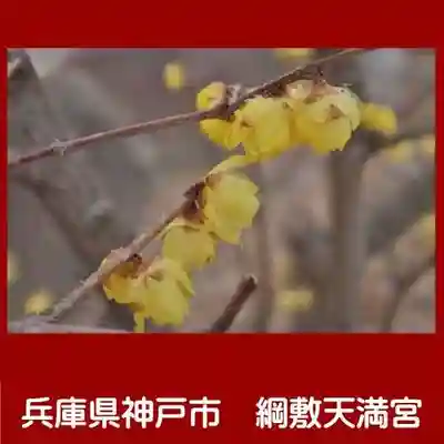 綱敷天満宮(兵庫県)