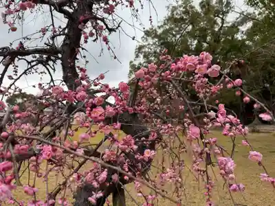 美奈宜神社(福岡県)